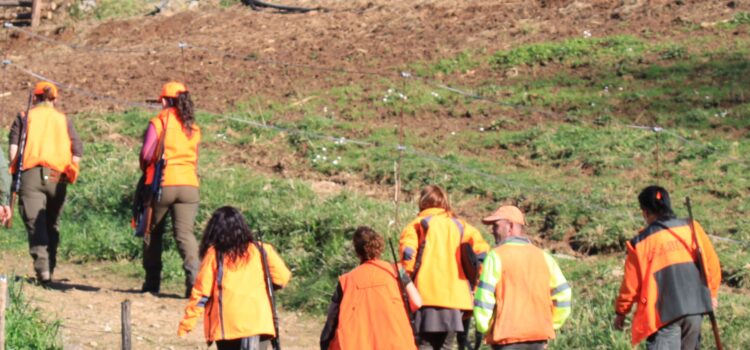 Aval judicial al trámite que situó a la caza como actividad esencial en la pandemia
